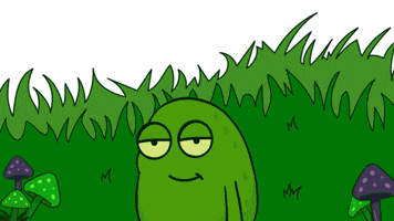 Shwompy GIF