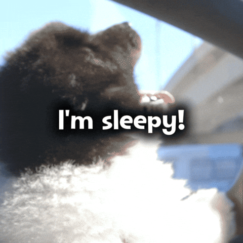 Dog Yawn GIF by Dr. U Hair and Skin Clinic