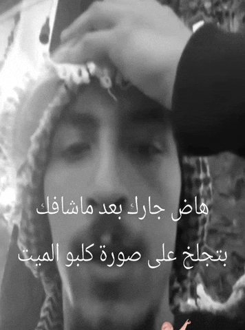 هاض جارك بعد ماشافك بتجلخ على صورة كلبو الميت GIF