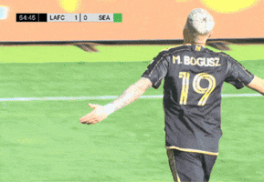 Celebrate Hands Up GIF by Major League Soccer