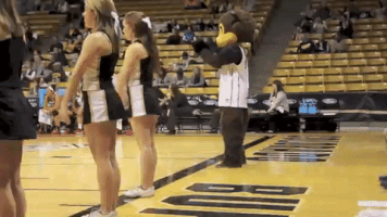 college cheer GIF by CUBoulder