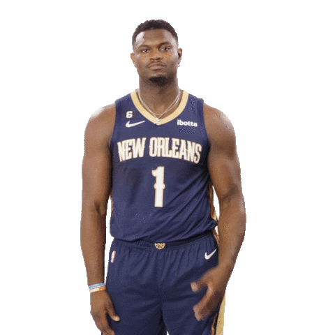 New Orleans Pelicans Sport Sticker by Gatorade