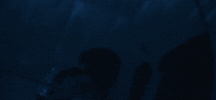 Music Video Swimming GIF by Jack Gray
