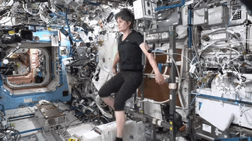 Working Out International Space Station GIF by European Space Agency - ESA