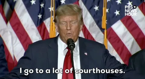 Donald Trump GIF