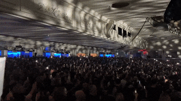 Concert GIF