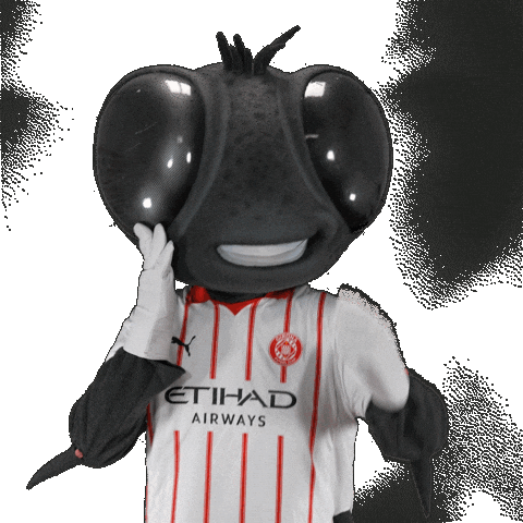 Futbol Club Sticker by Girona FC