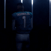 Football Sport GIF by Miami Dolphins