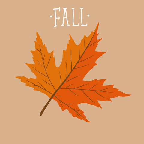 Autumn Colours GIFs - Get the best GIF on GIPHY