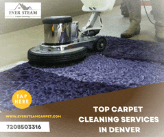Best Carpet Cleaning Company In Denver GIF