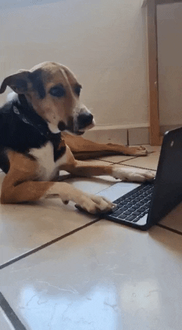 CronopioCreativo GIF