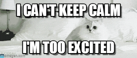 cant wait GIF cant wait GIF