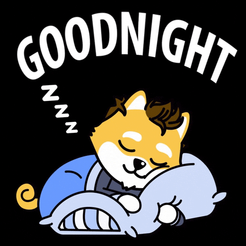 Good Night Sleeping GIF by Dogelon Mars
