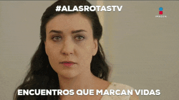 GIF by Imagen Televisión