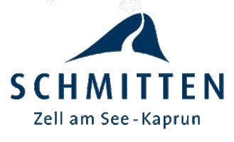 Winter Skiing Sticker by Schmittenhöhe