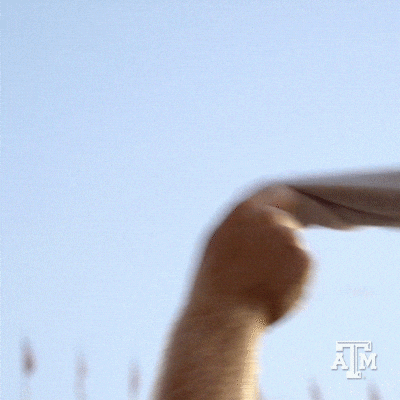 Texas Am Win GIF by Texas A&M University - Find & Share on GIPHY