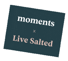 Jesus Moments Sticker by Live Salted