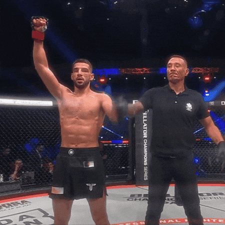 Pfl Asael GIF