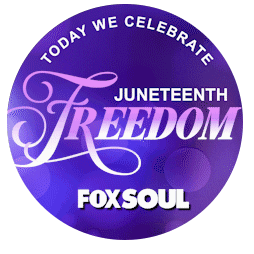 FOX SOUL Sticker