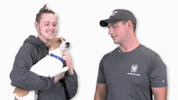 Dog Moving GIF by TWO MEN AND A TRUCK®