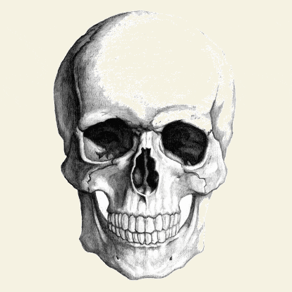 Skull Men GIF by BONESMEN