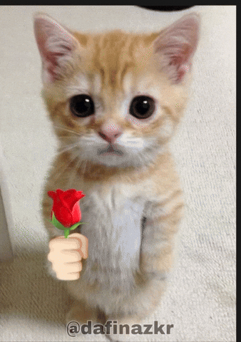 Take This Rose GIF