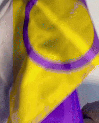 Proud Cat GIF
