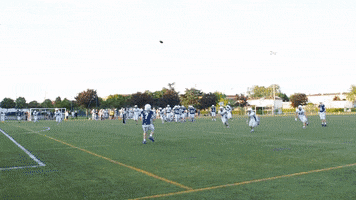Lions de Bordeaux GIF