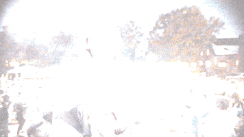 Money Rap GIF by Babyfxce E