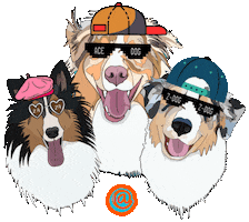 Australian Shepherd Dogs Sticker