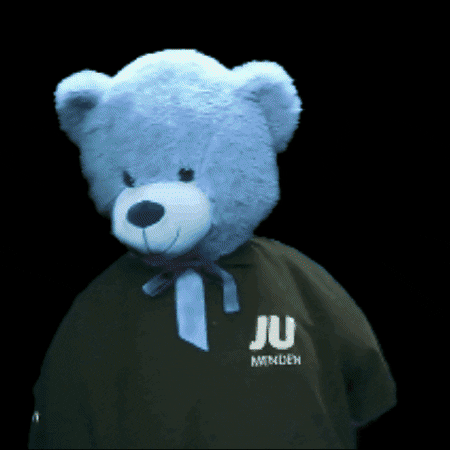 Dance Party GIF by Junge Union Menden