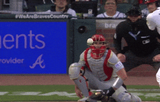 Braves GIF