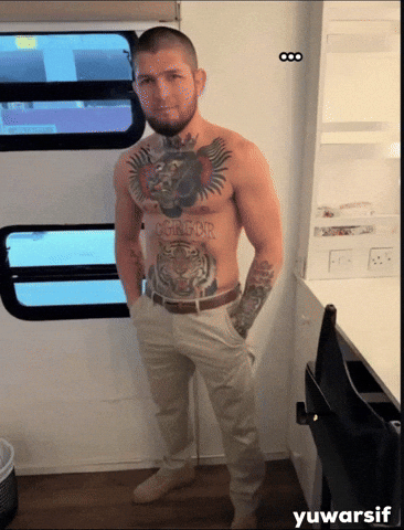 Mcgregor Nurmagomedov GIF