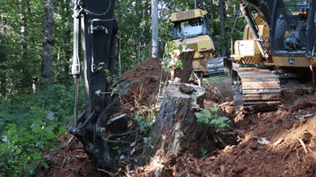 Stump Removal GIF by JC Property Professionals