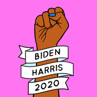 Joe Biden Vote GIF by Creative Courage
