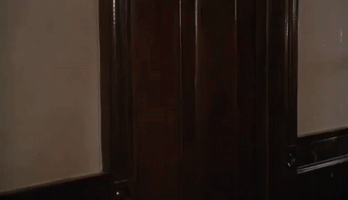thepatsmandaf  GIF
