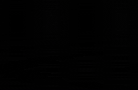 GIF by VisitLaredo
