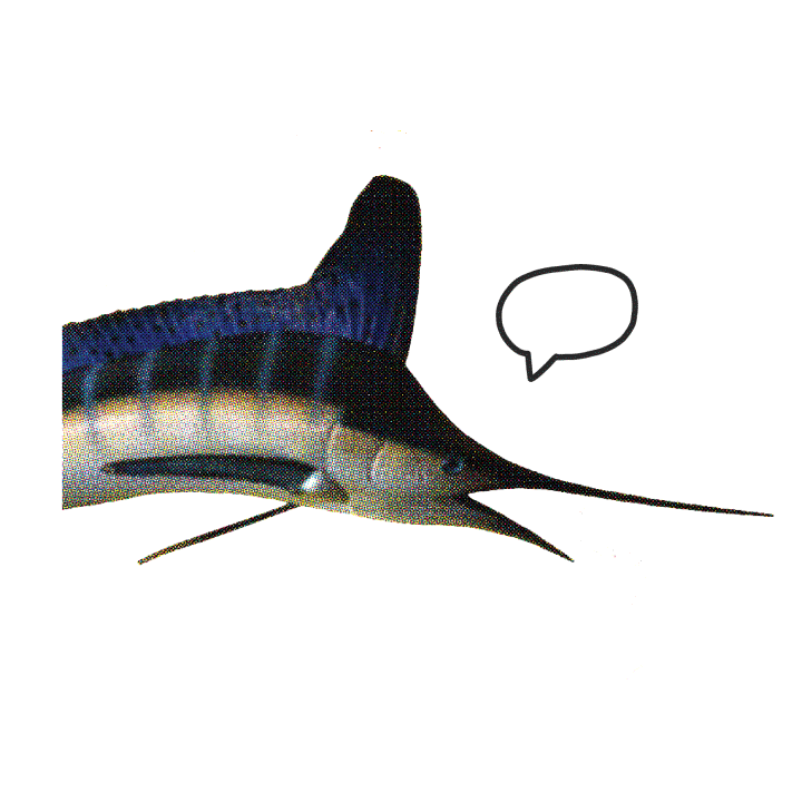 Fish Swordfsh Sticker by Treebird Branding for iOS & Android GIPHY