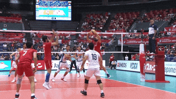 Power Point GIF by Volleyball World