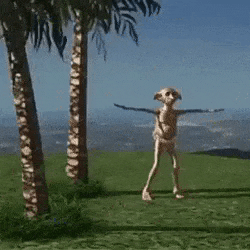 Dance GIF