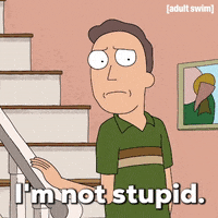 Im Not Stupid Season 2 GIF by Rick and Morty