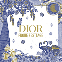 Marketing Dior GIF by touchpoints