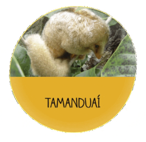 tamandua meaning, definitions, synonyms