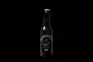 Nao Beer GIF