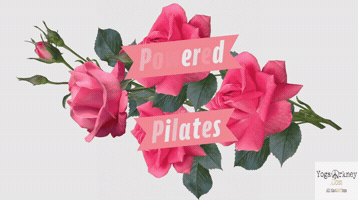 Pilates GIF