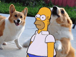 Awkward Homer Simpson GIF