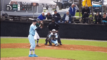 Baseball GIF