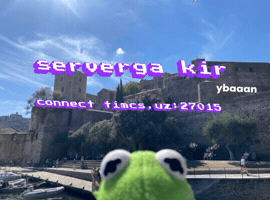 Timcsuz GIF