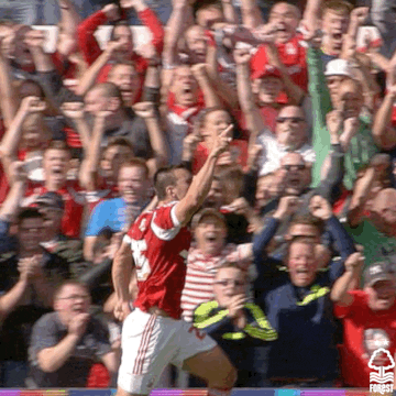 Football Celebrate GIF by Nottingham Forest