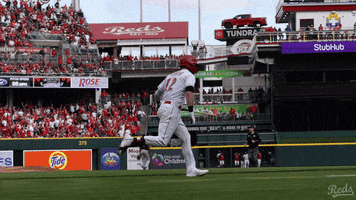 Tyler Naquin Baseball GIF by Cincinnati Reds
